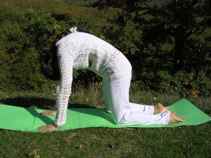 Una posizione yoga per rigenerare fegato e milza
