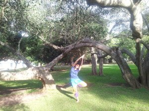 La posizione dell'albero, variante, benefici e indicazioni