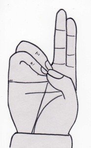 prana_mudra
